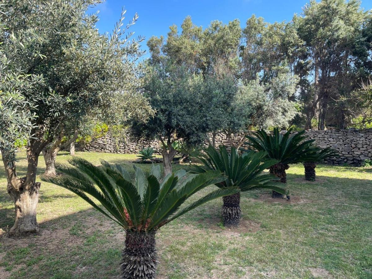 Calafato Guest House فافينانا المظهر الخارجي الصورة