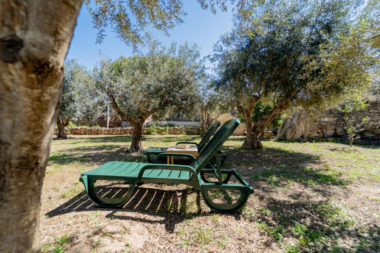Calafato Guest House فافينانا المظهر الخارجي الصورة